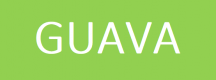 Cursos de Guava en Peru